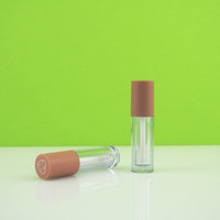 4ml Vide Gloss Cosmétique Lip Tube Container Lip Stick Bottle Custom Made