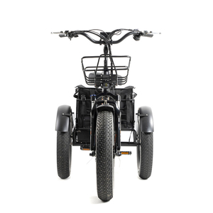 20 pollici Triciclo elettrico 750W motore grasso pneumatico 3 <span class=keywords><strong>ruote</strong></span> E <span class=keywords><strong>bici</strong></span> Triciclo <span class=keywords><strong>tre</strong></span> <span class=keywords><strong>ruote</strong></span> adulto Cargo <span class=keywords><strong>bici</strong></span> elettrica con cestino - Product Image 6
