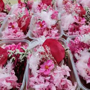Kit de fleurs séchées naturelles blanches, boîte de matériaux de fleurs séchées préservées pour la fabrication artisanale de résine, la fabrication de bougies, la décoration de cadres <span class=keywords><strong>photo</strong></span> - Product Image 4