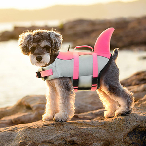 Chaleco <span class=keywords><strong>salvavidas</strong></span> ligero personalizado con estampado de tiburón para <span class=keywords><strong>perro</strong></span> <span class=keywords><strong>salvavidas</strong></span> impermeable verano y primavera chaleco ajustable para <span class=keywords><strong>perro</strong></span> - Product Image 5