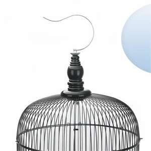 <span class=keywords><strong>Cage</strong></span> à oiseaux décorative élégante à deux étages pour la maison et le jardin-Métal durable, conception artistique, assemblage facile - Product Image 6