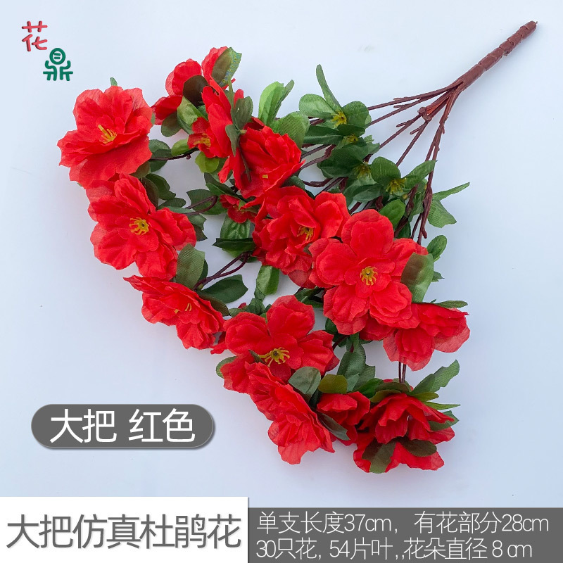 Gros bouquets d'azalées, rouges