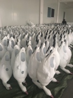 Kit de chasse multi-scénarios avec leurre oie des neiges corps entier en plastique EVA, écologique, durable, résistant aux intempéries, design réaliste et flottant