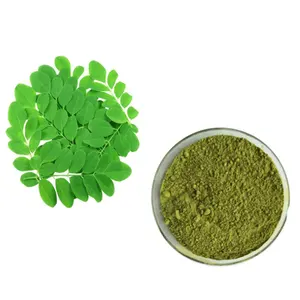 Wholesale chinese natural 5:1 10:1 Organic Bulk Moringa Oleifera Leaf Powder Moringa Leaves powder
