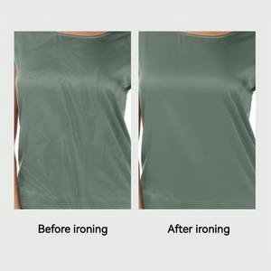 Nouveau mini fer à vapeur pour vêtements, défroisseur portable de voyage, presse à chaud professionnelle pour la maison, machine à repasser les vêtements secs et humides - Product Image 6