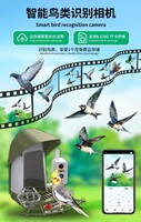 Mangeoire à oiseaux intelligente avec reconnaissance des espèces par IA, vision nocturne HD 1080P, audio bidirectionnel, alertes de mouvement, dissuasion des écureuils, montage mural