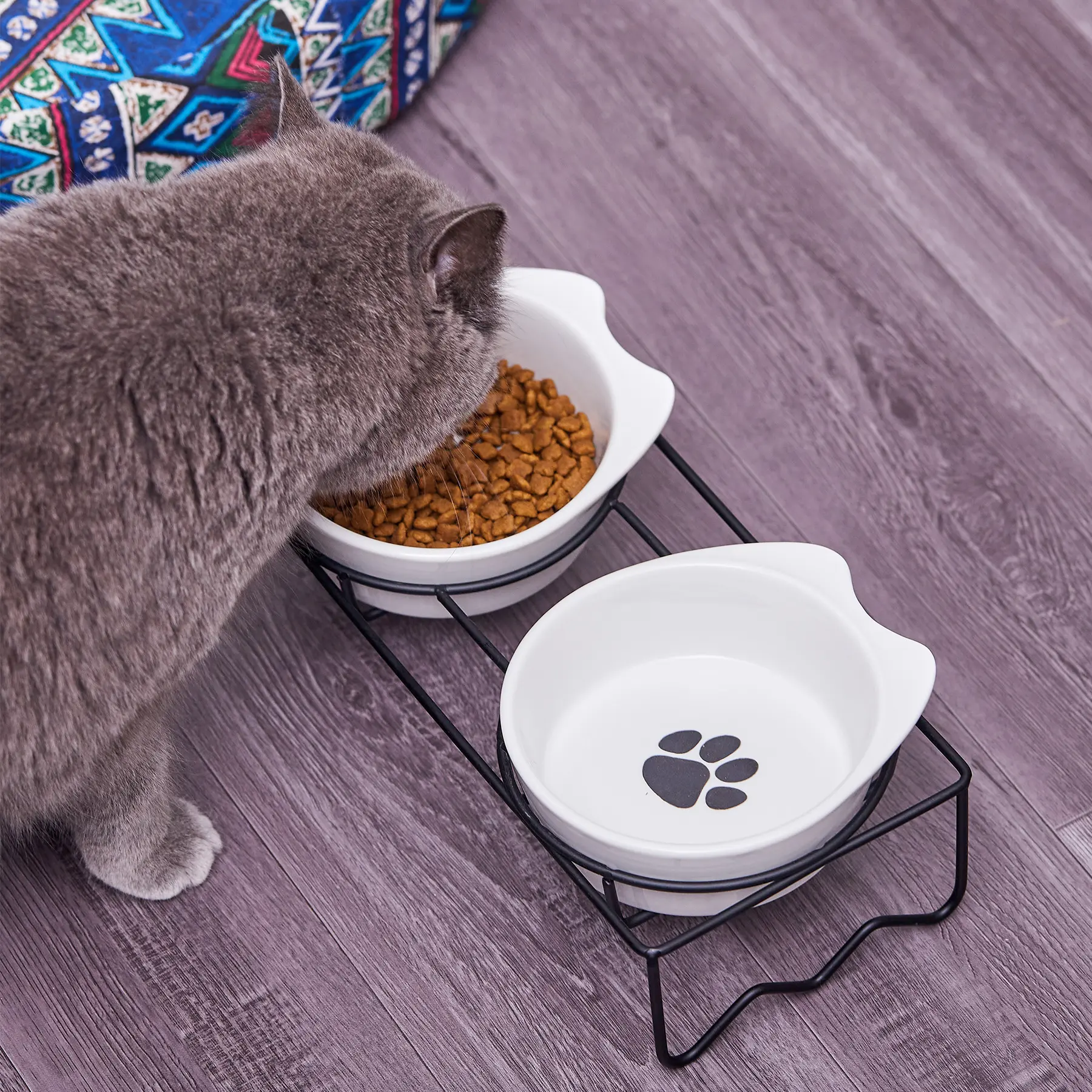 High Quality White Pet Feeding Elevated Double Food Dog Bowls Cat Food And Water Bowl Set With Metal Stand And Good Service