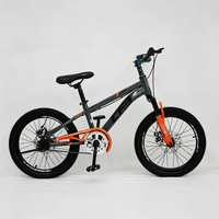 Bicicleta para Niños de 16'', 18'', 20'', 22'' con Protector de Cadena Completamente Cerrado, Sillín Ajustable y Cómodo, Bicicleta Unisex para Niños