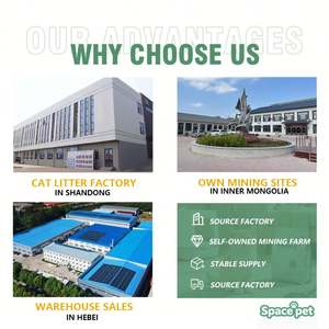 Meerdere geurtypen Bentonite kattenbakvulling zand stofvrij bolvormig 5L 10L 25L Bentonite gemalen kattenbakvulling - Product Image 2