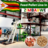 Usine de production de granulés d'aliments pour volailles à base de farine de soja RICHI - Ligne de production automatique d'aliments pour poulets et volailles en Zimbabwe