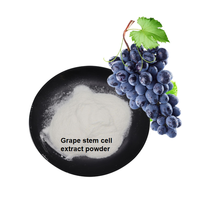 Poudre de cellules souches de raisin blanc naturel de qualité alimentaire supérieure avec ingrédients vitaminés pour les soins de la peau, en emballage bouteille/fût