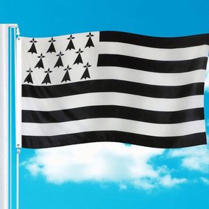 Drapeau carré en polyester noir Llydaw 3x5 avec œillets, impression numérique personnalisée du logo, écologique et durable, pour les cadeaux de mariage - Product Image 3