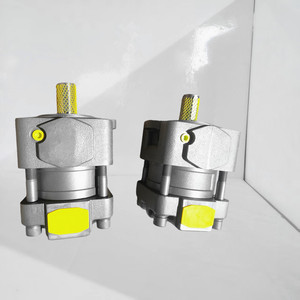 Machine de moulage par injection QT4\5\6N-31.5\40\50\63\80\100\125F-BP-Z Pompe à huile hydraulique QT62-125F-S1389-A Pompe à engrenages hydraulique - Product Image 3