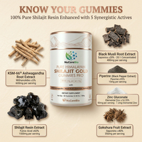 NuCoreBio Gezondheidsvoeding Himalaya Shilajit Gummies 100% Zuiver Natuurlijk Vitamine Suikervrij 3000mg Individueel Verpakt OEM