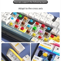 Personalized Translucent Spanish Keycaps ABS Material OEM Profile Doubleshot Process Mechanical Keyboard Keycaps