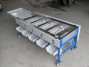 VBJX patates sarımsak tarihi kiraz meyve boyutu sıralama sıralayıcı makine meyve ve sebze boyutları sıralama makineleri hattı - Product Image 6