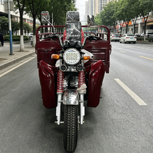In-stock Promotion <b>Gasoline</b> CargoTricycle Full-floating Rear Axle 53 Front Shock Delivery Motorcycle for Market Vendor - Product Image 3