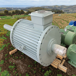 पवन ऊर्जा रूपांतरण के लिए एक स्थायी चुंबक जनरेटर - Product Image 2