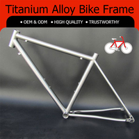 <strong>Best</strong> Value Premium GR9 <strong>Titanium</strong> <strong>Gravel</strong> <strong>Bike</strong> Frame 700x50c for Long Distance Adventure Touring and Off Road Bikepacking