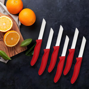 6 قطع من الفولاذ المقاوم للصدأ Paring مع مقبض بلاستيكي ، صندوق ملون ، سكاكين مطبخ مفيدة للفواكه والخضروات - Product Image 1