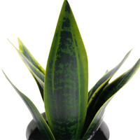 Künstlicher Plastikblumentopf mit grüner Pflanze 36cm für Innendekoration Hochzeit & Chinesisches Neujahr