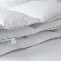 Couette en duvet de plumes de canard et d'oie blanches de qualité supérieure Joytex Hotel Collection pour toutes les saisons
