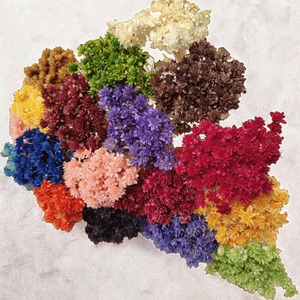 Ghirlanda di Fiori Secchi di Aster Brasiliano, Margherite di Montagna Piccole, per Decorazioni Natalizie Fai-da-te, Ghirlanda Popolare - Product Image 5