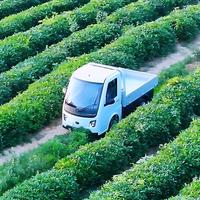 Camionnette de fret compacte chinoise Beemotor