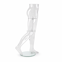 Mannequin transparent pour bas et collants, buste féminin en acrylique transparent avec base en verre pour la présentation en magasin