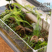 Réservoir d'élevage de tortue Lucency Rectangle aménagement paysager écologique réservoir d'aquaculture spécialisé maison animal de compagnie décorer accessoire