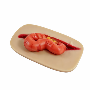 Modèle d'entraînement à la pansement et à l'hémostase en cas d'évacuation intestinal, formation aux premiers secours TCCC pour les étudiants en médecine et la pratique communautaire - Product Image 3