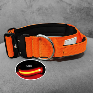 Collares Led Personalizados con Logotipo para Perros, <span class=keywords><strong>Collar</strong></span> de Nailon Táctico Resistente con Luz Led, Recargable por USB - Product Image 1