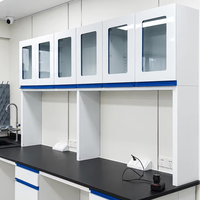 Armoire de rangement industrielle murale en acier SCEELAB pour hôpitaux, écoles, laboratoires pharmaceutiques et de recherche