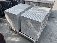 Carrelage extérieur moderne en granit poli Galaxy Rose Blanche Vizag