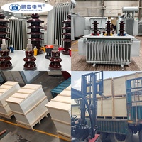 Transformateur de distribution triphasé immergé dans l'huile Pengbian S11-M 125 kVA 20 kV/22 kV Dyn11/Yyn0 Groupe vectoriel Léger