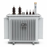 S22 Yağlı Tip Trafo Oksijensiz Bakır Sarma 30KVA - 2500KVA 3KV 11KV Alçak Gerilim 400V Enerji Tasarruflu 50Hz