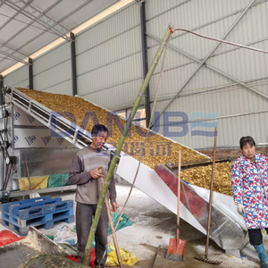 Ligne de production entièrement automatique pour le nettoyage, la découpe et le séchage du gingembre, machine de séchage à bande transporteuse pour tranches de gingembre - Product Image 2