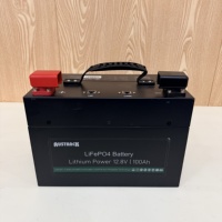 Batería de ciclo profundo LiFePo4 de 12V 24V 48V 100Ah 150Ah 200Ah 300Ah 400Ah 600Ah con celdas de grado A, BMS inteligente Bluetooth, personalizada, en stock en la UE