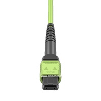 24 conducteurs 24 brins 24 fibres Data Center OM5 Multi Mode Fan-out Cable Connector MPO Female to LC Fiber Optic Patch Cord