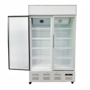 Réfrigérateur vertical à double porte battante à refroidissement direct pour supermarchés et magasins de proximité - Product Image 1