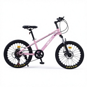 Großhandel OEM Kinderfahrrad Bestseller Kinder-Mountainbike für 3-8 Jahre Alte Kinder mit Stahlgabel aus China - Product Image 6