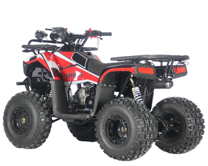 <span class=keywords><strong>Quad</strong></span> 125cc à essence pour adultes, 2 roues motrices, tout-terrain, <span class=keywords><strong>prix</strong></span> direct usine Chine, moto tout-terrain pas chère à vendre - Product Image 4
