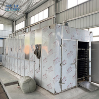 Four de séchage à air chaud CT-C pour produits agricoles et dérivés