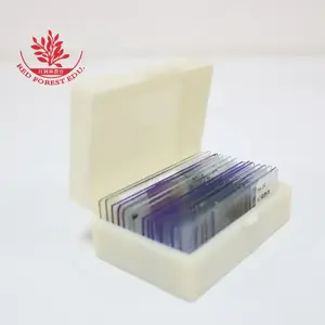 Juego de 14 portaobjetos de microscopio preparados Genética Diapositivas preparadas Clases de cromosomas humanos Enseñanza - Product Image 5