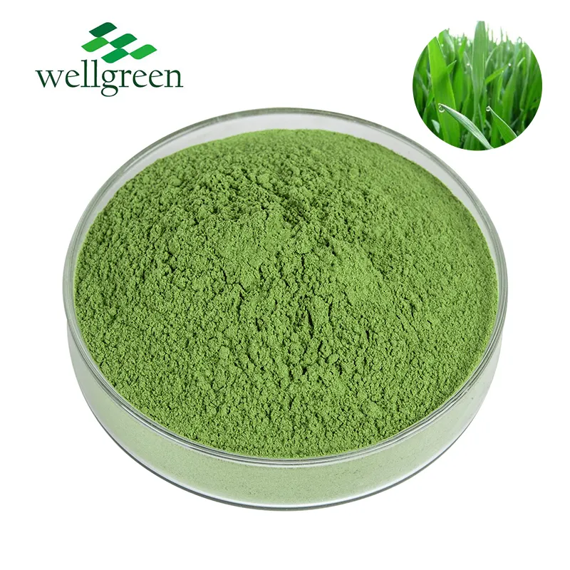 Wellgreen Top bán 7 loại màu xanh lá cây pha trộn rau bột hỗn hợp bột màu xanh lá cây