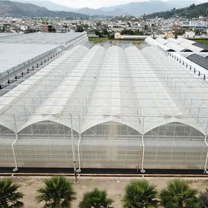 Invernaderos Agrícolas de Bajo Costo, Multi-Túnel, Multi-Span, con Estructura Metálica y Plástico Tropical para Cultivo de Plantas - Product Image 1