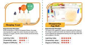 Fabricant de kits d'apprentissage ODM/OEM BIG BANG SCIENCE |   Kit de cuisine <span class=keywords><strong>magique</strong></span> STEAM pour l'école, pack d'expériences de chimie éducatives - Product Image 2