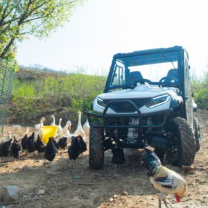 Vehículo de Trabajo Todoterreno Automático KINGWOO de 72V y 4WD para Terrenos Inclinados de Montaña, Certificado EEC/COC, Capacidad de Carga de 300-400 kg - Product Image 2