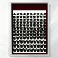 Ensemble de cils segmentés brillants et scintillants, multi-tailles, styles variés, longue tenue, application facile, volume intense, cils en grappe portables