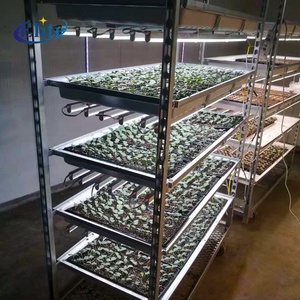 Kas Kwekerij Deens <span class=keywords><strong>Trolley</strong></span> Kar Bloem Plant Tuin <span class=keywords><strong>Trolley</strong></span> Hot Dip Gegalvaniseerd Bloemenrek Met 4 Wielen - Product Image 6